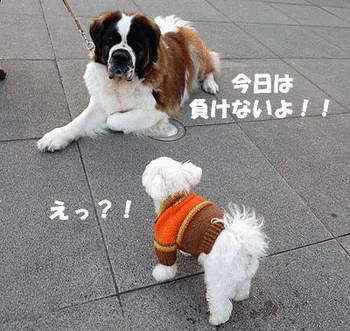 032今日は負けないよ