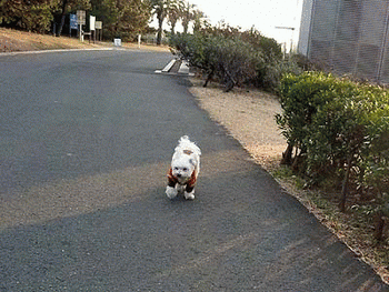 075またおいていかれた