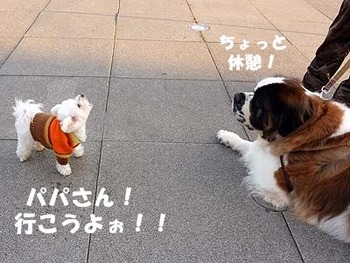 030早く行こう