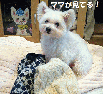 130着るのいやだなぁN