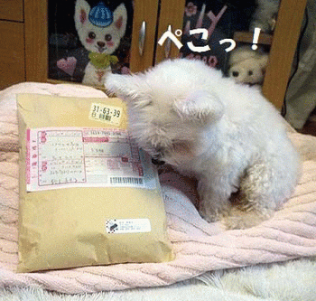 170カノンママさんありがとう