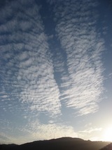 鰯雲