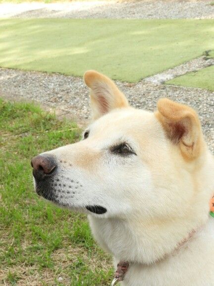 DSCN1457-432x576