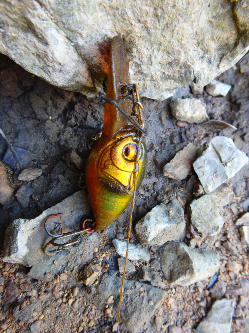 P6060838