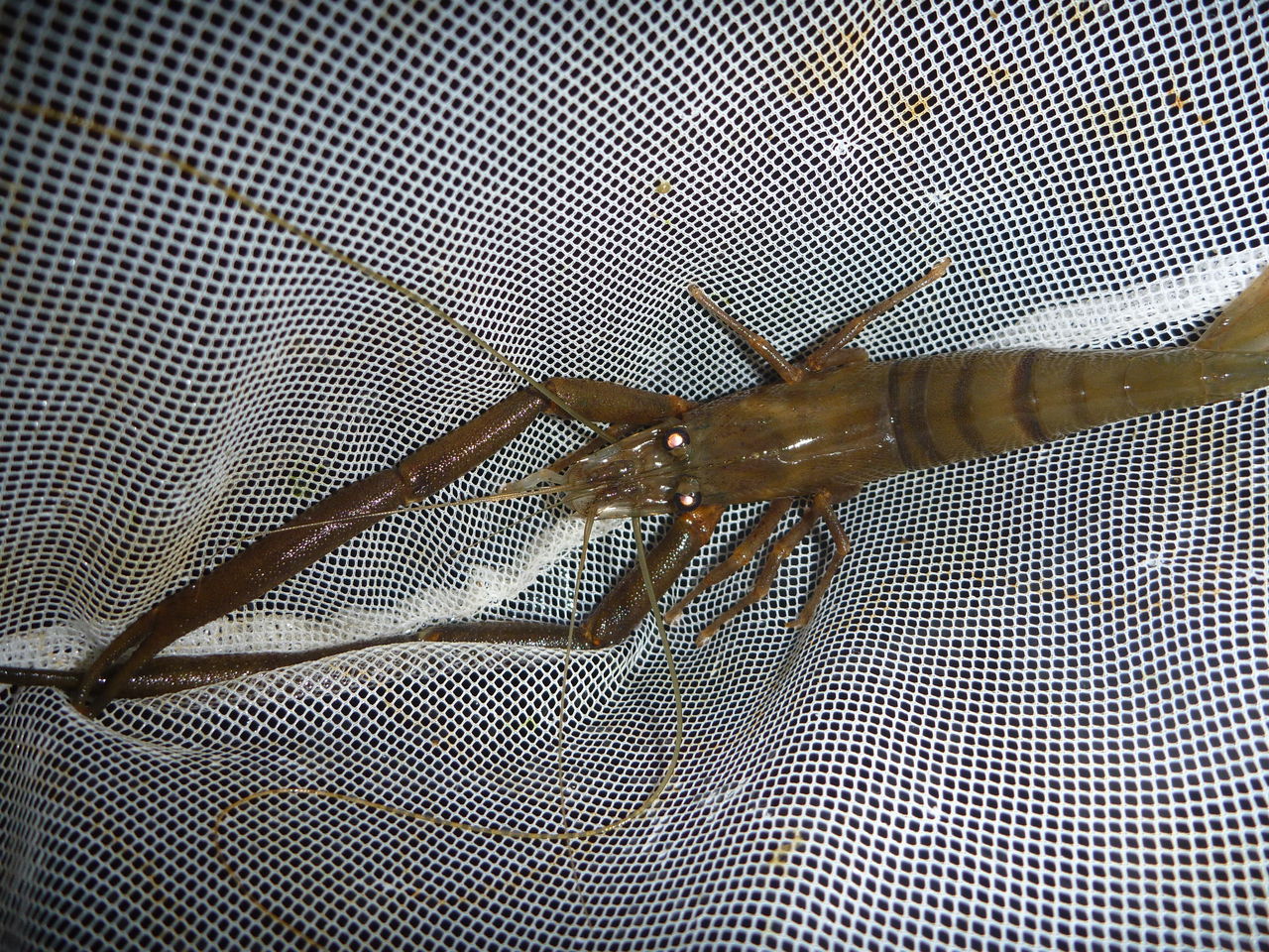 P1040172