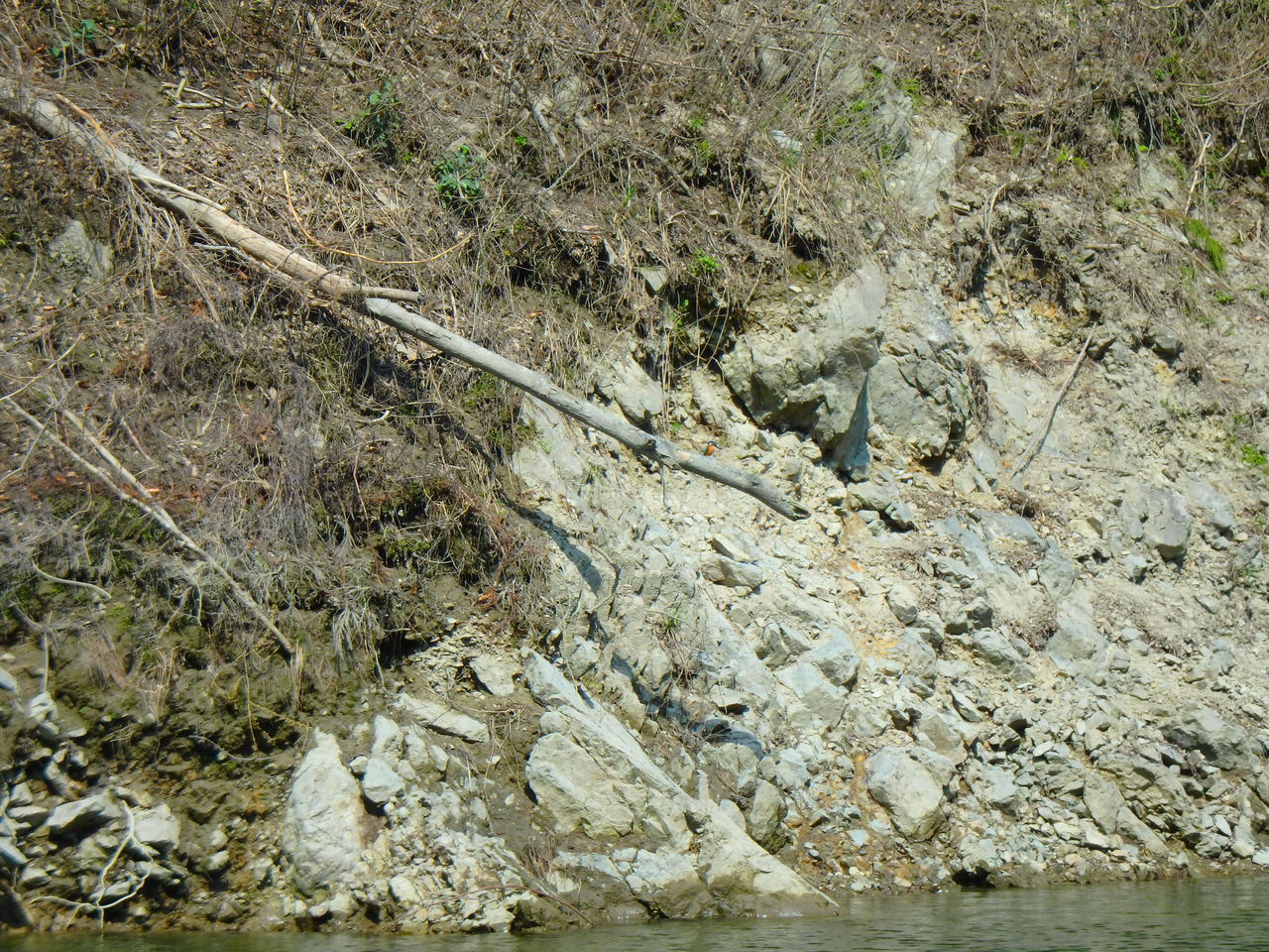 P4030019