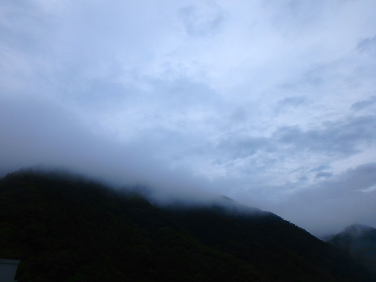 P6190004