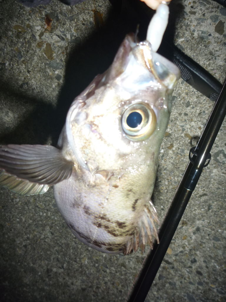 P1020920