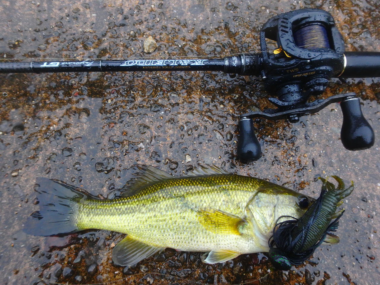 P5130025