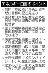 130616エネルギー白書
