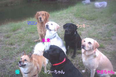af2c1e34.jpg