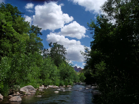 P6141122