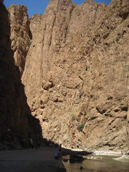 tani
