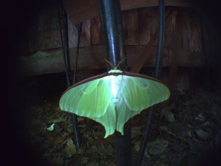 PICT0502