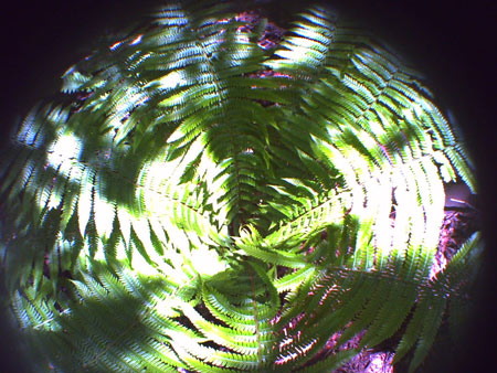 PICT0528