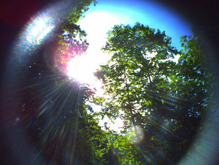 PICT0438