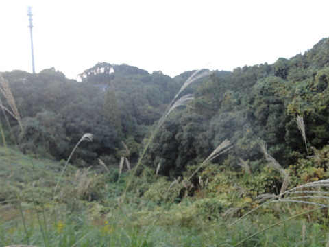 DSC04214