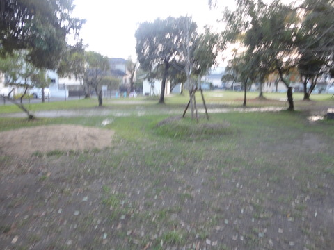 DSC04217