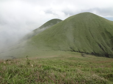 DSC06560