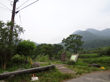 DSC05860