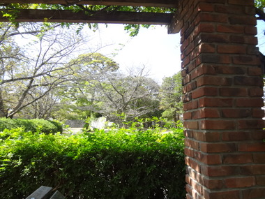 DSC04263