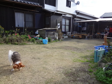 DSC06966