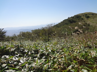 DSC04183