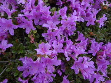 DSC05851