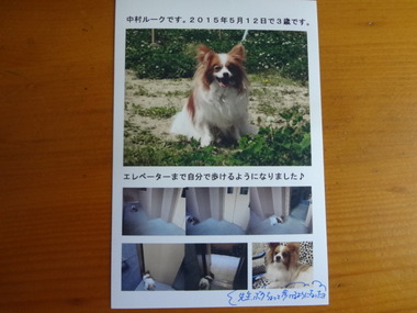 DSC07903