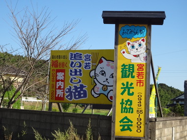 DSC04135