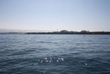 八景島沖