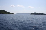 t_IMG_3617
