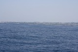 t_IMG_3650