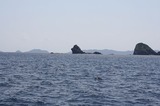t_IMG_3624