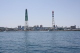 t_IMG_3648