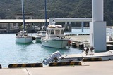 t_IMG_3614