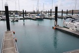 t_IMG_3917
