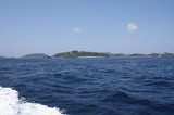 t_IMG_3620