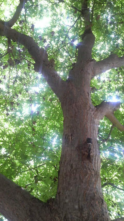 f886090b.jpg