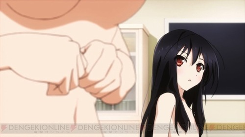 アクセル・ワールド (4)