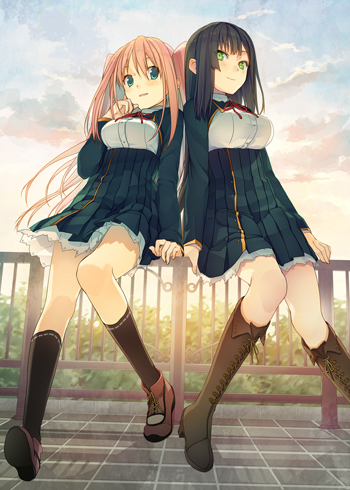 003