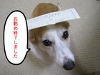 ��ǯ�⤪�ФὪλ�Ǥ���