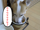 ���ޥ��ޤǤ�����