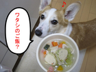���Ӥ�����
