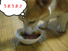 ���ޤ��ޢ�
