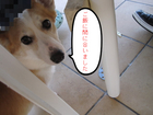 ���ꥮ�ꥻ���բ�