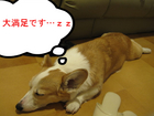 ����­�Ǥ���