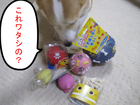 �ɤ�ˤ���ä��ʢ�