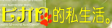 ビガロ的私生活。