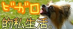 ビガロ的私生活。></a><br><br>
<br><br>
ビガロ的私生活。はリンクフリーです。<br><br>
<br><br>
よければバナーをお持ち帰りください♪<br><br>
<br><br>
<br>
</div>
<div class=
